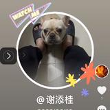 高级小猫On头像