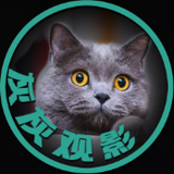 灰灰它是只猫头像