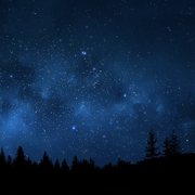 donnyfe的个人资料头像