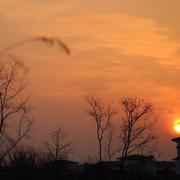 不笑猫的个人资料头像