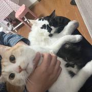 吴月月的个人资料头像