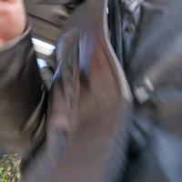 骑着千里马兜兜兜风头像