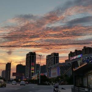 你聪聪学長头像