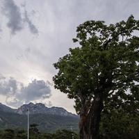 请您再次输入用户名哦头像