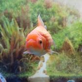 魔法向阳而生1072头像