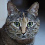 xwayway的个人资料头像