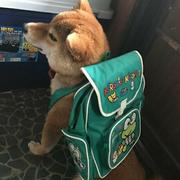 chost的个人资料头像