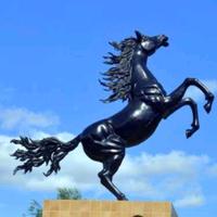 热血青年辽阳1r4头像