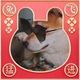 biubiubiu5679头像