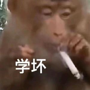 灰灰「娇莱雅创始人」