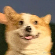 NotFound_404的个人资料头像