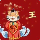用户9251599120287头像