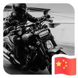 寇金龙93头像