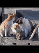 coder_C的个人资料头像