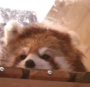 1nkig000的个人资料头像