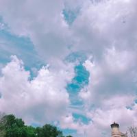 一个什么都没留下的头像