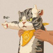 踢球去的个人资料头像