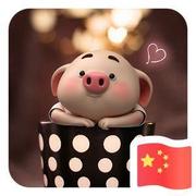 可可西里真的没有海的个人资料头像