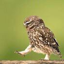 天蓝酱69591的个人资料头像