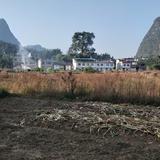 我的渔生1688头像