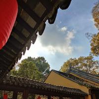 灰色保温杯头像