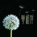 陌丶梦晨头像