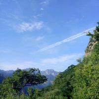 椰子1380头像
