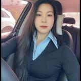 养一只灰轩逸头像