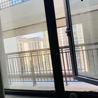 大大王聊车头像