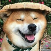 Bainily288的个人资料头像