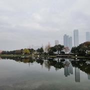 kelevis的个人资料头像