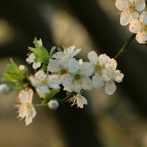 慢慢游35头像