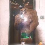 腰圆的帅酋长头像