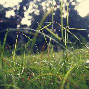 Aswords的个人资料头像