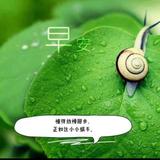 柳暗花明69172头像