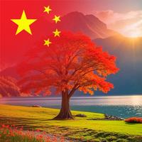 安静的天花板头像