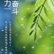 静听下雨的夜146头像