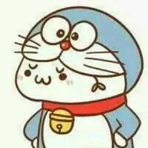 咸鱼大王鸭头像