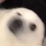 风吹老了好少年的个人资料头像