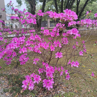 曾师傅防水工程维修头像