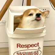 略略略722的个人资料头像