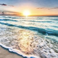 现代教育论坛头像