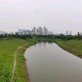 风雨兼程的龙东头像