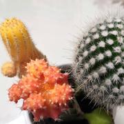 明天346的个人资料头像