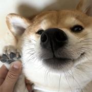 用户很忙的个人资料头像