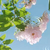 有趣的微风8wK头像