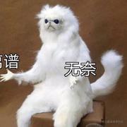 桃子葡萄酒的个人资料头像