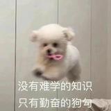 猪猪女孩ω7头像