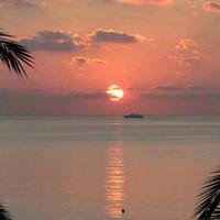 敏锐汽车9p4D头像