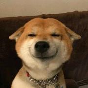 Dispassion_c的个人资料头像